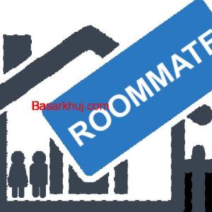 Roommate Wanted