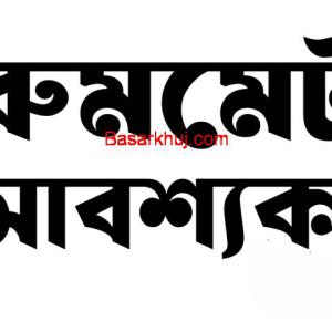 চলতি মাসের থেকে অথবা ডিসেম্বর মাস থেকে দুই সিটের একটি ফ্লাট বাসায় একজন ব্যাচেলর রুমমেট প্রয়োজন।