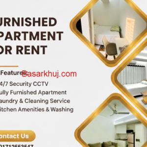 300 | 375 Sq ft Fully Furnished 1BHK for Rent in Bashundhara R/Av