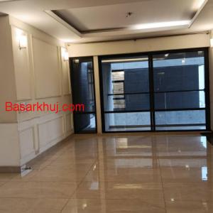 Luxury modern apartment For rent Gulshan-2